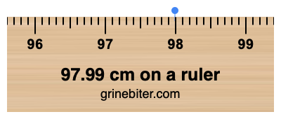 Where is 97.99 centimeters on a ruler