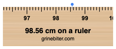 98.56 cm on a ruler Where is 98.56 centimeters on a ruler