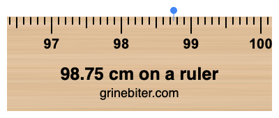 Where is 98.75 centimeters on a ruler