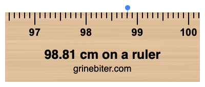 Where is 98.81 centimeters on a ruler
