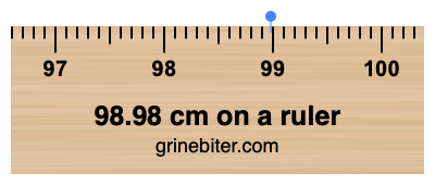 Where is 98.98 centimeters on a ruler