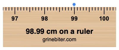 Where is 98.99 centimeters on a ruler