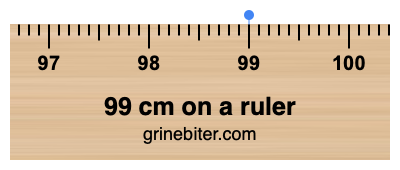 Where is 99 centimeters on a ruler
