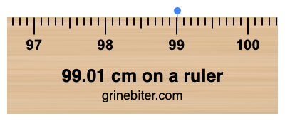 Where is 99.01 centimeters on a ruler