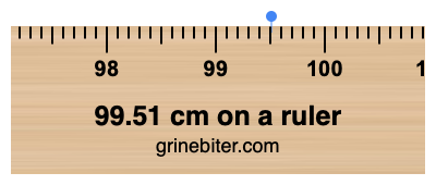 Where is 99.51 centimeters on a ruler