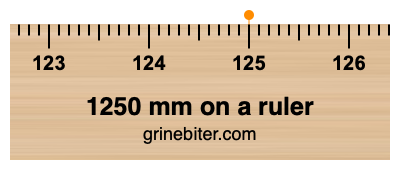 1250 mm on a ruler Where is 1250 millimeters on a ruler