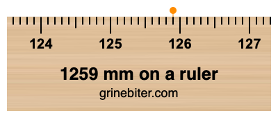 1259 mm on a ruler Where is 1259 millimeters on a ruler