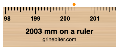 2003 mm on a ruler Where is 2003 millimeters on a ruler