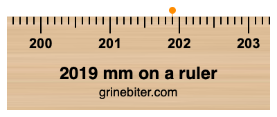 2019 mm on a ruler Where is 2019 millimeters on a ruler