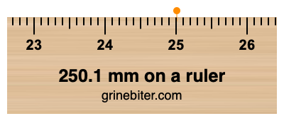250.1 mm on a ruler Where is 250.1 millimeters on a ruler