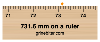 Where is 731.6 millimeters on a ruler
